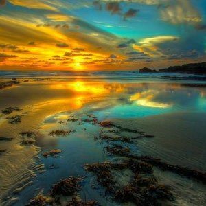 Meet your Posher, Kris